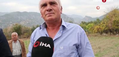 Dünyanın en pahalı baharatı safran Adana'da hasat edildi