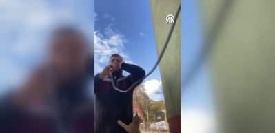 Gülümseten anlar: Yavru kedi, ezan okuyan imamın üstüne tırmandı