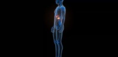 Hazımsızlık deyip geçmeyin! Altında safra kesesi taşı olabilir 