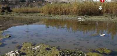 İran, şiddetli kuraklığa çözüm arıyor...