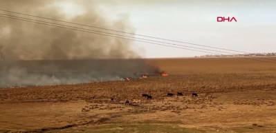 Nehil Sazlığı'ndaki yangın söndürüldü