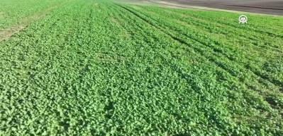 FAO'dan Türkiye'deki arazi tahribatını engellemeye yönelik projelere 8,1 milyon dolarlık kaynak