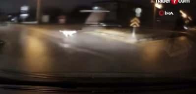 Sokakta köpeklerin kovaladığı genci böyle kurtardı