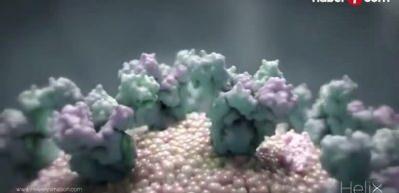 WHO raporu: Tüberküloz vakaları ve ölümleri düşüşe geçti