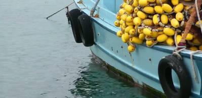 Türkiye'nin balıkçılık kaynaklarında azalma yaşamdı