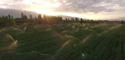 Kırsalda yürütülen kalkınma programları istihdam artışına da destek oluyor