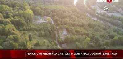 Bakan Yumaklı ve Kacır, Yenice ıhlamur balının AB'den coğrafi tescil almasını değerlendirdi