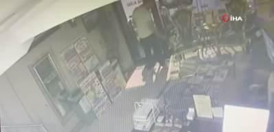 Böcek ailesinin yok olmasına neden olan ilaçlama firması sabıkalı çıktı