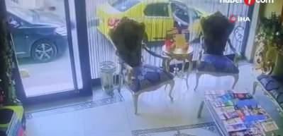 Böcek ailesiyle ilgili ilaçlama firması yetkilisinden skandal itiraf!