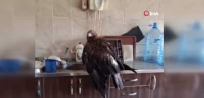 Dev kartala "Kartalcık kartalcık" diye seslendiği anlar herkesi güldürdü