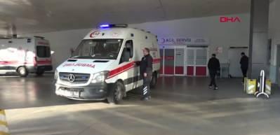 Hayvan otlatırken ayı saldırısına uğradı: Elmacık kemiği koptu!