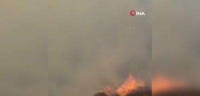 İran, orman yangını için Türkiye'den yardım istedi