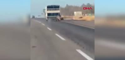 Kamyonetin arkasına bağladığı atı dakikalarca sürükledi; o anlar kamerada