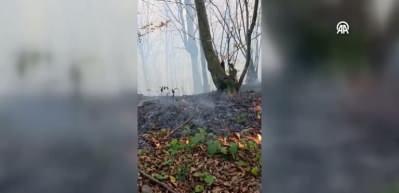 Ordu'da çıkan örtü yangınına müdahale ediliyor