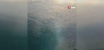 Sapanca Gölü'nde esrarengiz görüntü