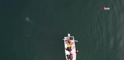 Sapanca Gölü'ndeki endişelendiren kabarcıklar su altından ve havadan görüntülendi