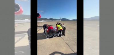 Seren Serengil'in annesi yoğun bakıma alındı: Sağlık Bakanı yardım çağrısına yanıt verdi!