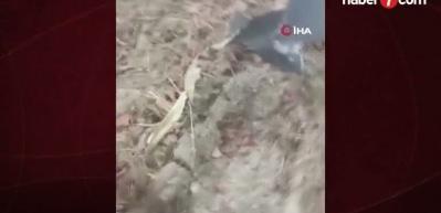 TSK u&ccedil;ağının d&uuml;ş&uuml;ş&uuml;ne dair ilk bulgular: &ldquo;Kuyruk &ouml;nce kopmuş, inceleme en az 2 ay s&uuml;recek&rdquo;