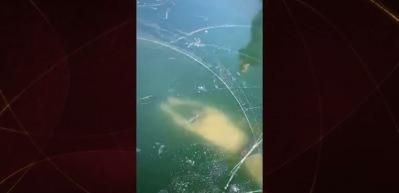 Hassas içerik: Slovak yüzücü buzun altında mahsur kaldı