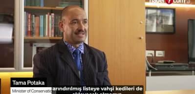 Yeni Zelanda 2050’ye kadar 2,5milyon vahşi kedi itlaf edecek