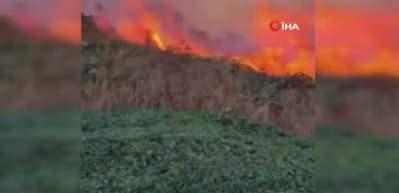 Artvin’de örtü yangını ormana yayıldı