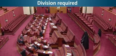 Avustralyalı senatör Hanson kara çarşafla Senato’ya girip yasak çağrısı yaptı