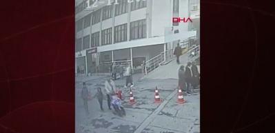 Böcek ailesinin yeni görüntüleri ortaya çıktı