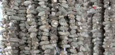 Gaziantep'te kışın vazgeçilmezi kuru bamya 2 bin TL'den tezgahta