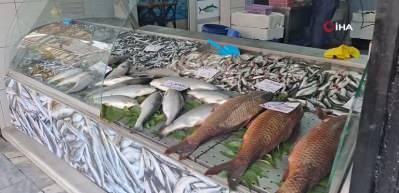 Hamsi fiyatları 100-150 TL'ye geriledi