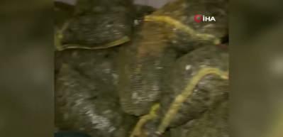 İstanbul Boğazı'nda kaçakçılara operasyon!