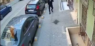 Kedi 4.kattan firar etmek istedi! Vatandaş o anlarda hazırlıksız yakalandı korktu