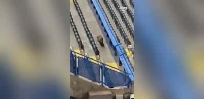 Şampiyonlar Ligi maçı öncesi 'Tilki' alarmı!