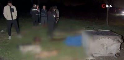 Samsun'da çöp konteynerinde 9 telef olmuş köpek bulundu