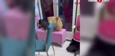 Sultangazi‘deki düğün salonunda gizli kamera skandalı: Sahibi gözaltına alındı