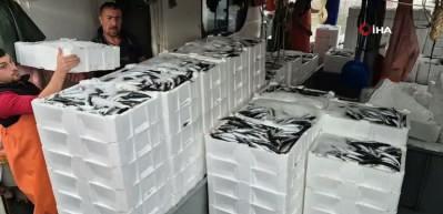 Tekirdağ'da tayfalar mutlu: Yüzlerce kasa balık yakalandı