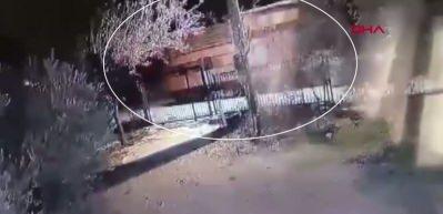 Yok artık dedirten hırsızlık! ‘Tiny House' hırsızı kıskvırak yakalandı