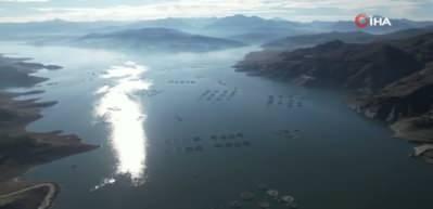 Denizi olmayan Tokat’ın somonları dünya sofralarına ulaşıyor