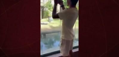 Hayvanat bahçesindeki korkunç anlar: Aslanın bulduğu kafese girdi