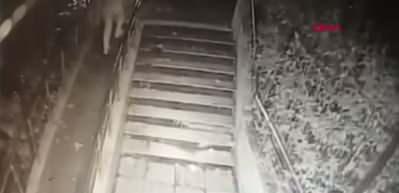 Kadın kundakçı ekipleri de şaşırttı!