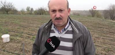 Malatya'da gramı 600 TL olan safran yok satıyor