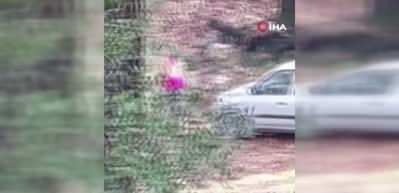 Ormanda kadını döven şahıs kaçamadan yakalandı