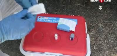  Şapın vurduğu üreticiler süt fiyatında güncelleme istiyor