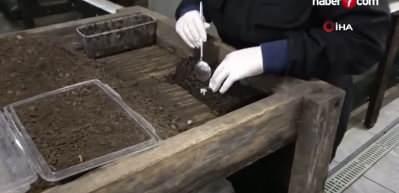 Trabzon'dan dünyaya 'Googlis'