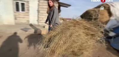İstanbul'dan köyüne dönüp hayvancılığa başlayan kadın 3 yılda sürüsünü 4'e katladı
