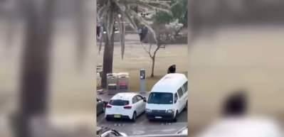 Silah tecr&uuml;besi olmayan manav Avustralya'da kahraman oldu: &Ccedil;ıplak elle destan yazdı!