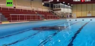 Fransa'da 'yok artık' dedirten kaza! Frenle gazı karıştırdı, arabayla havuza uçtu