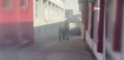 Adana'da FETÖ firarisi ihraç icra müdürü kıskıvrak yakalandı