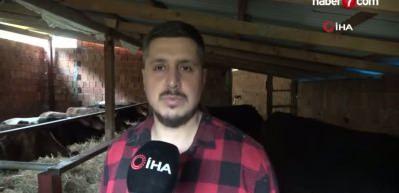 "Almanya'da robot olacağıma çoban olurum" diyerek memleketine döndü