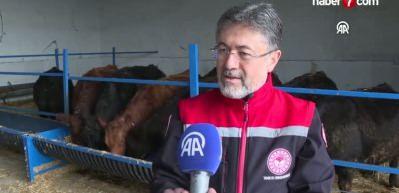 Bakan Yumaklı açıkladı: Hayvanlar sahiplerine ulaşıyor