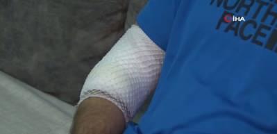 Başakşehir'de sahipli köpek dehşeti!